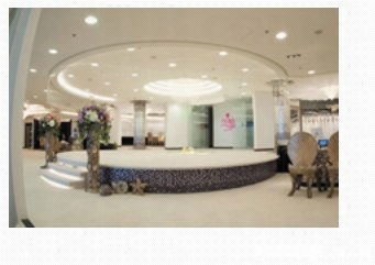 芝柏一站式服務(wù) 婚紗攝影、新娘化妝與禮服租賃，記錄您的完美瞬間